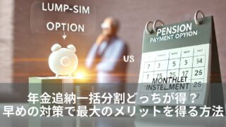 年金追納一括分割どっちが得？早めの対策で最大のメリットを得る方法