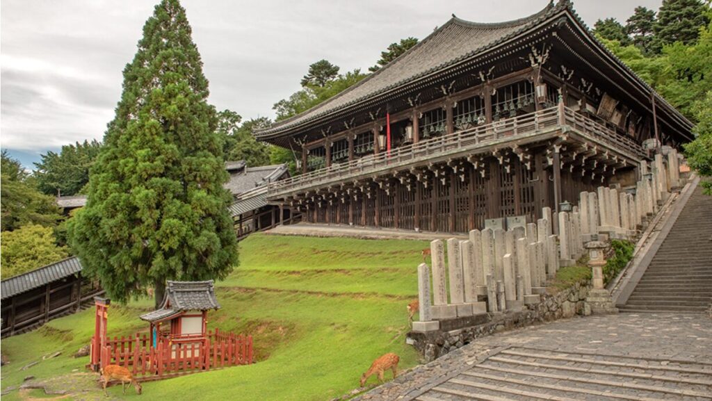 東大寺の見どころ完全ガイド！まとめ