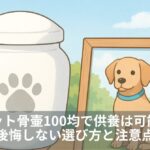 ペット骨壷100均で供養は可能？後悔しない選び方と注意点